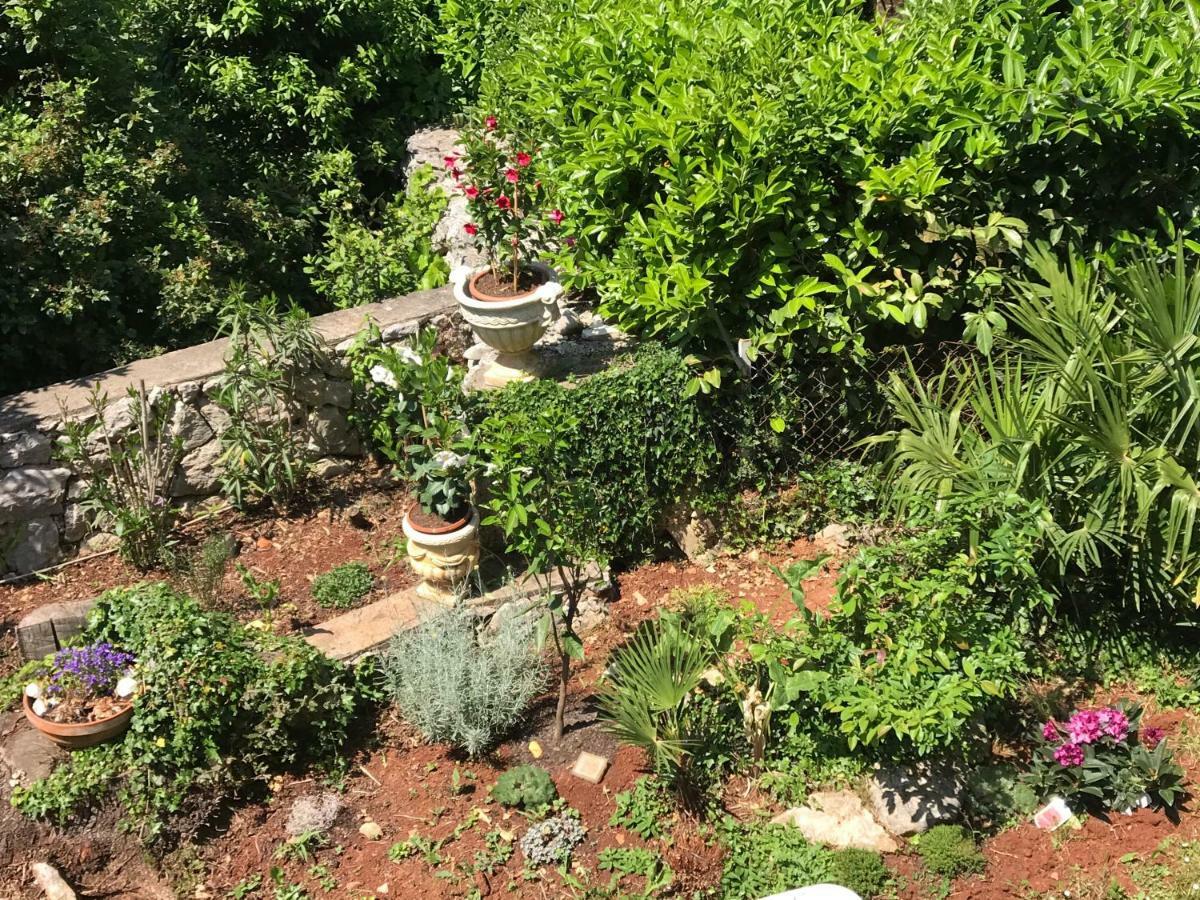 Apartment Aquamarin, Blizu Mora S Pogledom Na More, Za Do 6 Osoba مالينسكا المظهر الخارجي الصورة